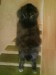 DSC00185.JPG